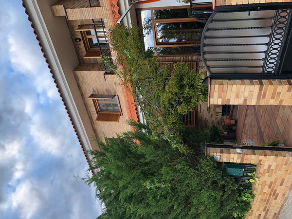 Igor's house