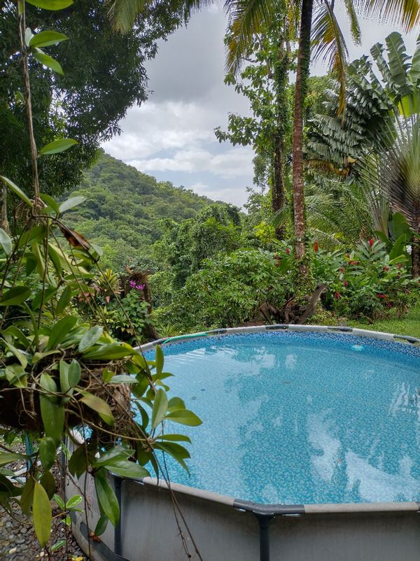 Maison en bois, isolée et autonome au coeur de la forêt tropicale de la Basse Terre.