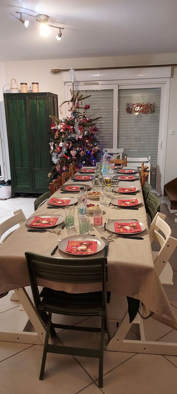 Noël au cœur des châteaux de la Loire,  proche du Futuroscope, zoo de Beauval avec salle de jeux