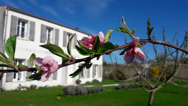 La maison d'Aurélia & Laurent