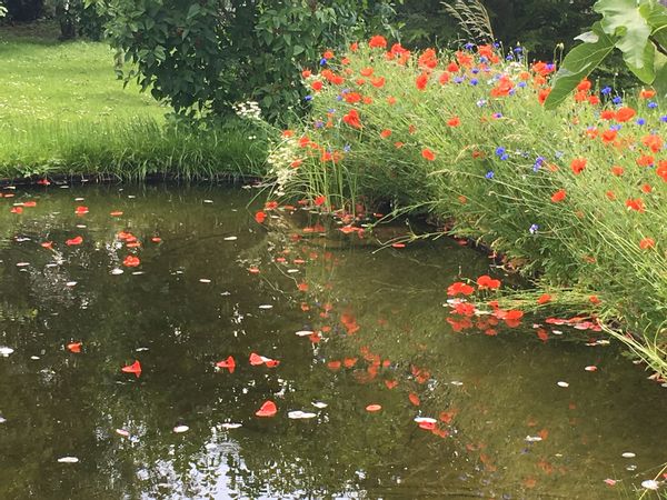 La maison de Murielle