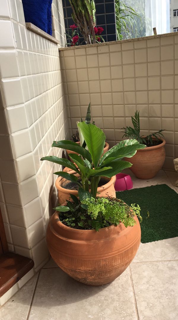 La maison de Teresinha Cristina Rosa