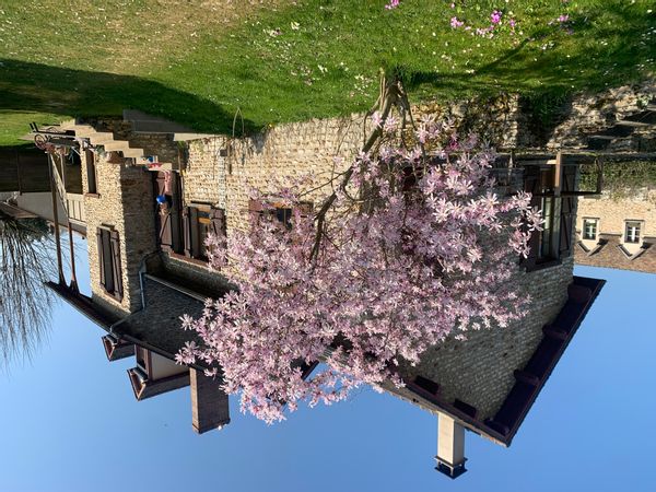 Casa de Virginie