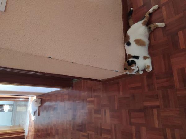 La maison de María Lucía