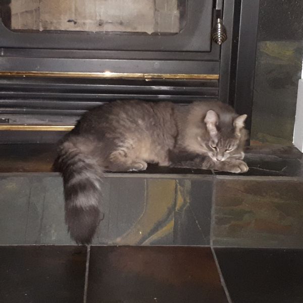 La maison de Marie-Nicole et Jacques