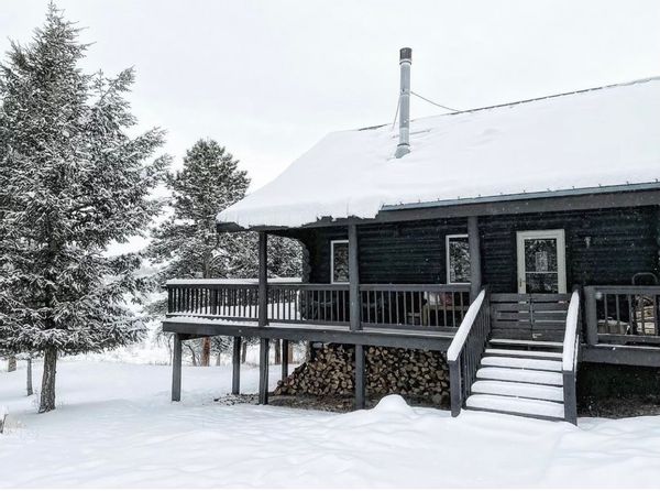 Black Mountain Pine - Colorado Cabin