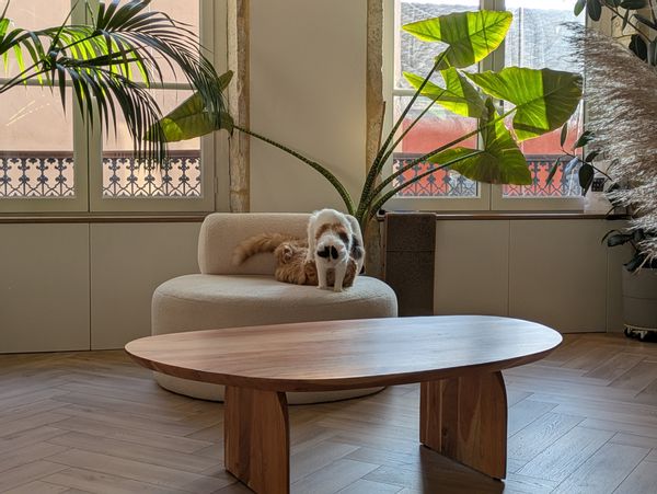 La maison de Louis-rémi