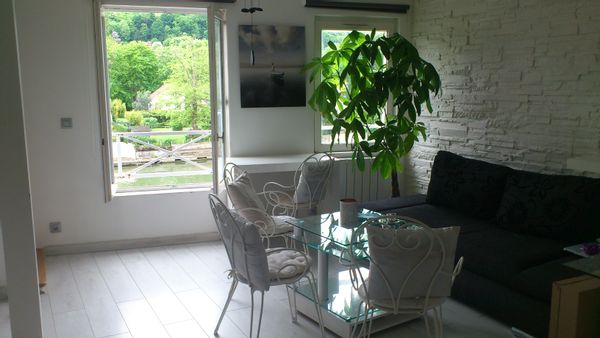 L'appartement au bord de l'eau (et à 50 minutes de Paris)