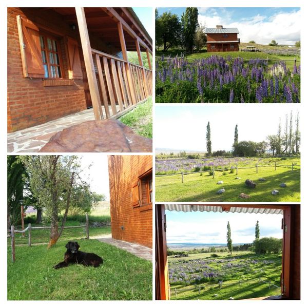 Casa de Viviana