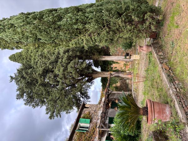 Casa de emmanuel