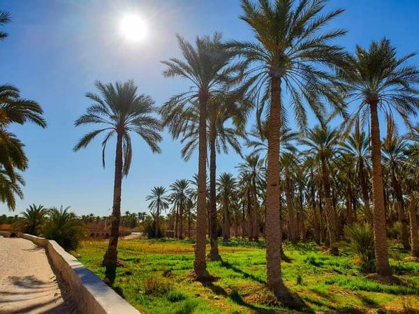 Béni Isguen... Fraîcheur au cœur du Désert.
