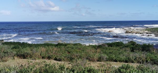 Huis in Betty's Bay