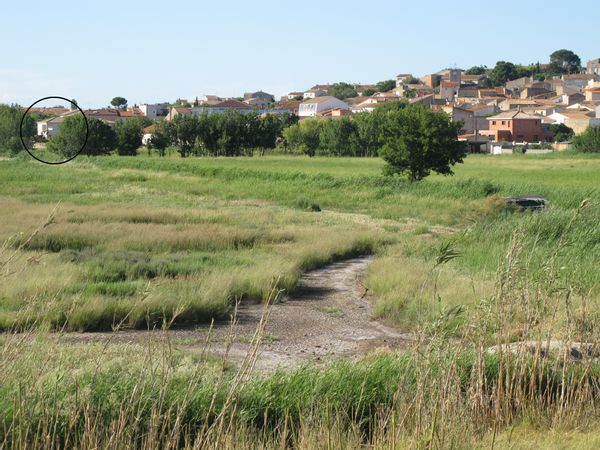 Près de la mer, près de l'étang, dans le village, au calme.