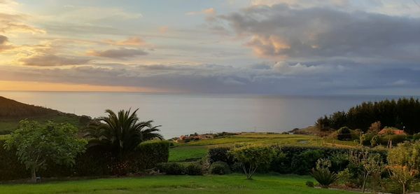 La maison de Mónica