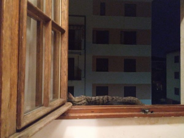 Manuela's house
