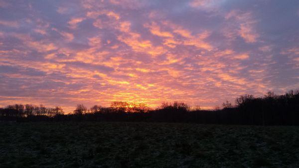 La maison de Sabrina et Cinna