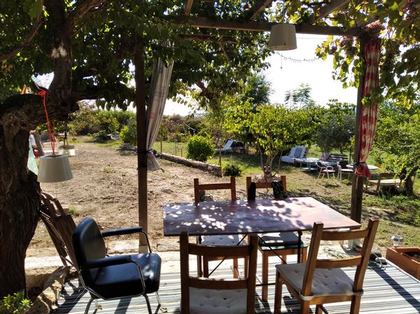 gonzalo's house