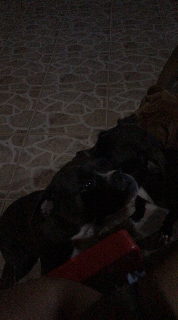 La maison de JESIQUENIA