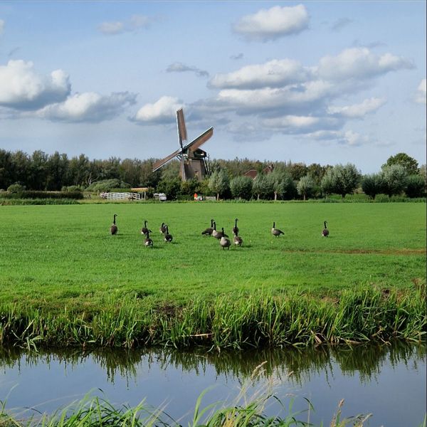 Casa di Gisella e Claudio