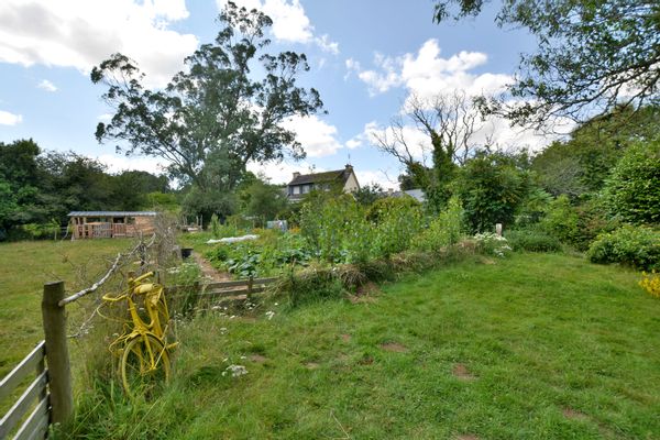 Chez Florie & Pat, "le rouquin qui roule"