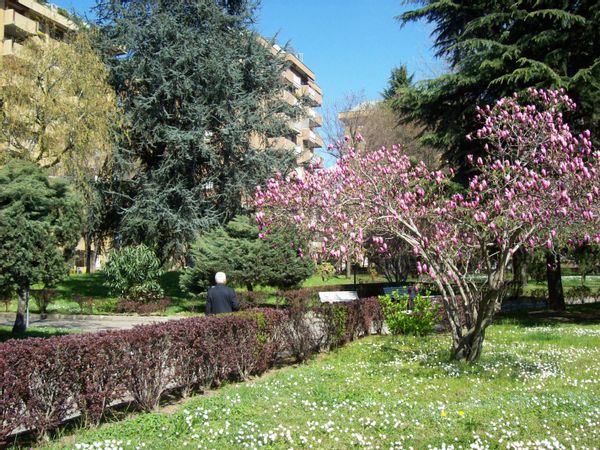 La maison de Alessandro