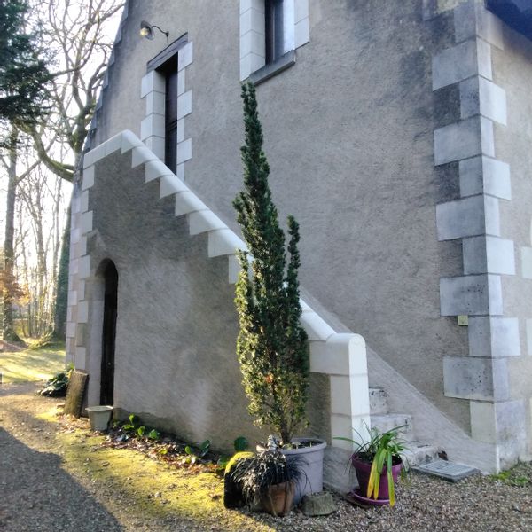 Une pause dans les bois