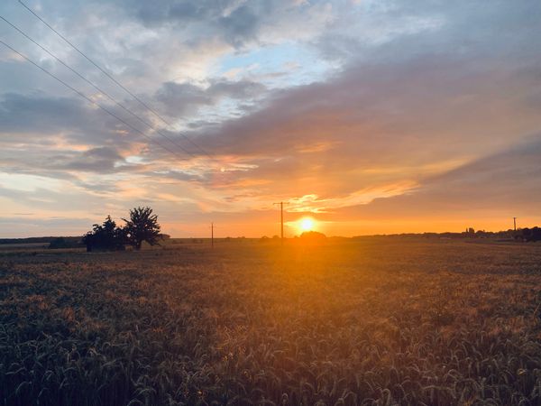 La maison de Célénie