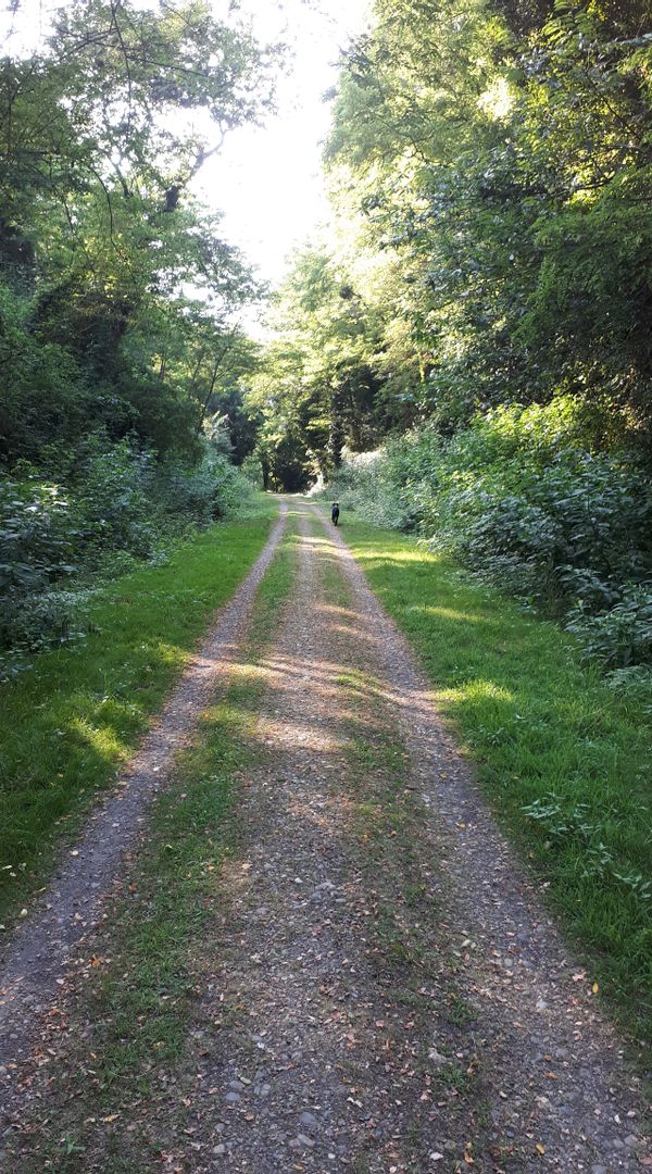 Casa di Cecile & Victor