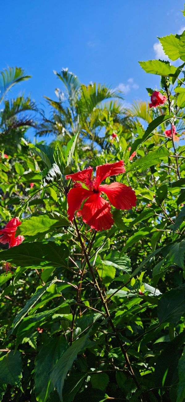 Casa de Bruno et Annie