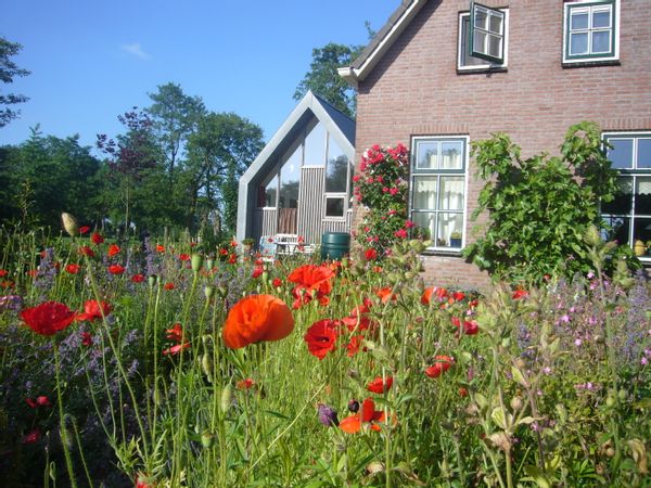 Huis in Terwispel