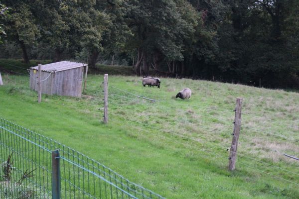 Home in Lanvallay