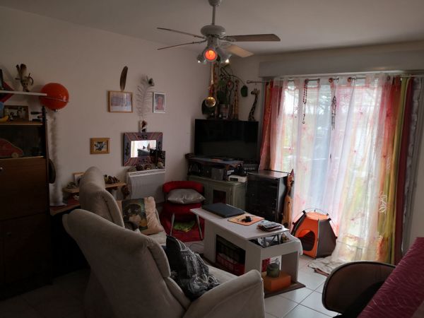 La petite maison de Linda et ses petits compagnons (Chien, chat, tortue)