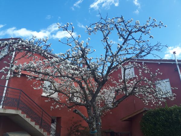 La maison d'Alex & Ophélie
