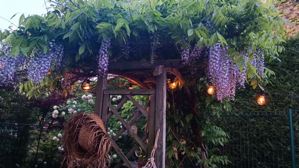 notre maison de famille