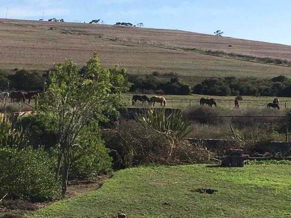 Hjem i Durbanville