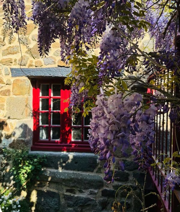 Cécile & Guillaumes hus