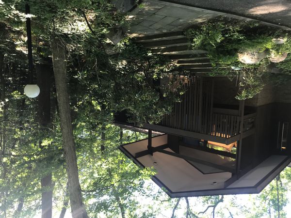 Private mid-century home 10 min from Ann Arbor