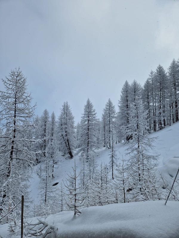 Veronica e Marco's house