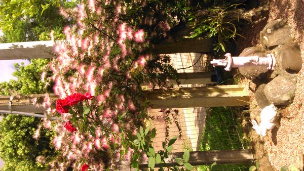 La maison de Iracema