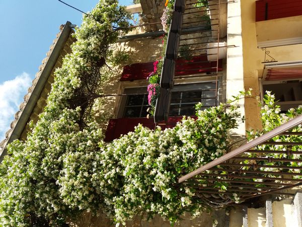 Ma maison près de la Garrigue