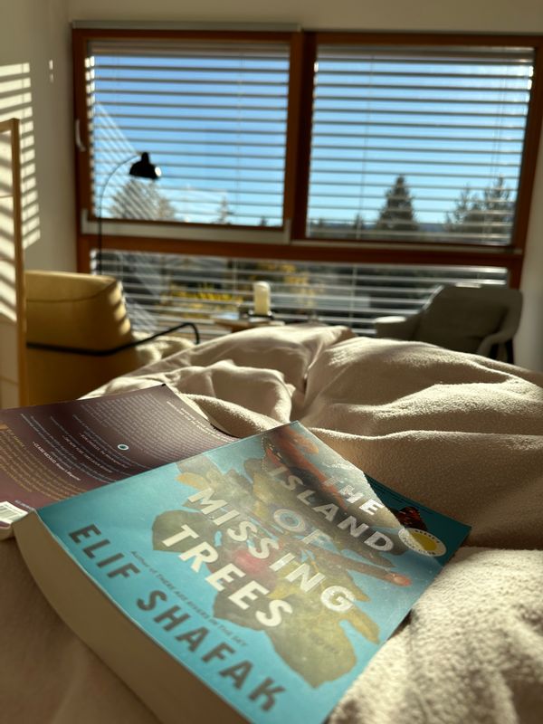 Gabrielle`s cottage alpss hus