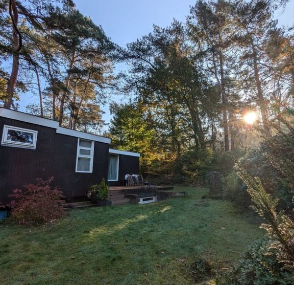Peaceful forest cottage on the Utrechtse Heuvelrug (near Utrecht)