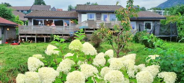 La maison de Natasha