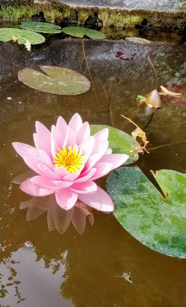 Au cœur de la vallée de la Drôme