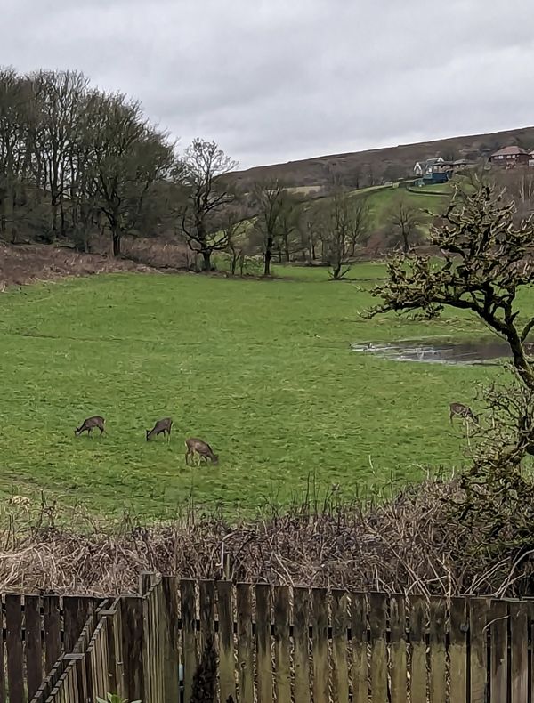 La maison de Francesca