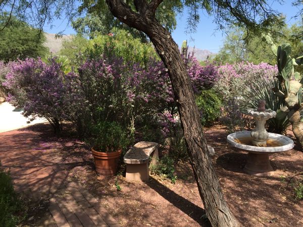 Home in Tucson, Arizona