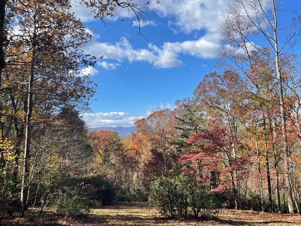La maison de Carolyn
