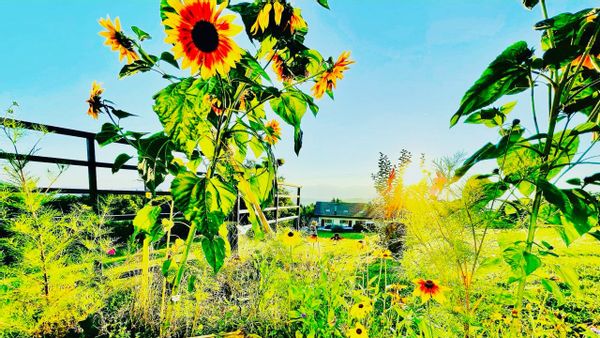 Entre lacs et montagnes, La Maison d’Audrey & Eric, calme, nature, vue, Haute-Savoie & Grand-Genève
