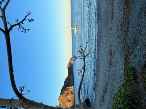 La maison de Carmen María