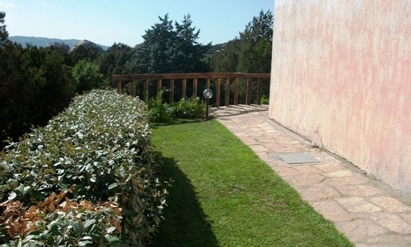 Andrea's house